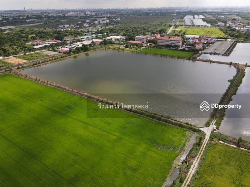ขายถูก! ที่ดินลาดกระบัง ใกล้สุวรรณภูมิ Airport 8 Km.—ติดถนนกว้าง 6 เลน เนื้อที่ 544-2-98.4 ไร่ 