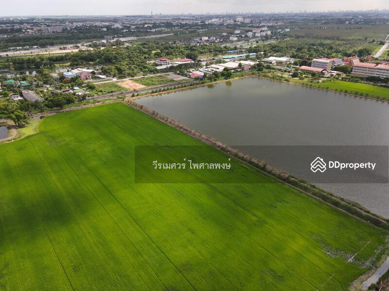 ขายถูก! ที่ดินลาดกระบัง ใกล้สุวรรณภูมิ Airport 8 Km.—ติดถนนกว้าง 6 เลน เนื้อที่ 544-2-98.4 ไร่ 