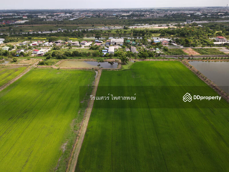 ขายถูก! ที่ดินลาดกระบัง ใกล้สุวรรณภูมิ Airport 8 Km.—ติดถนนกว้าง 6 เลน เนื้อที่ 544-2-98.4 ไร่