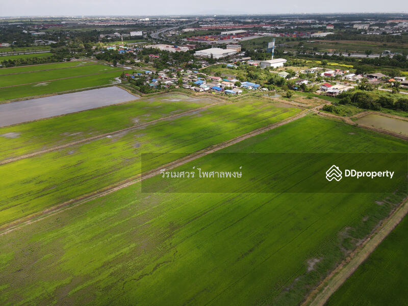 ขายถูก! ที่ดินลาดกระบัง ใกล้สุวรรณภูมิ Airport 8 Km.—ติดถนนกว้าง 6 เลน เนื้อที่ 544-2-98.4 ไร่ 