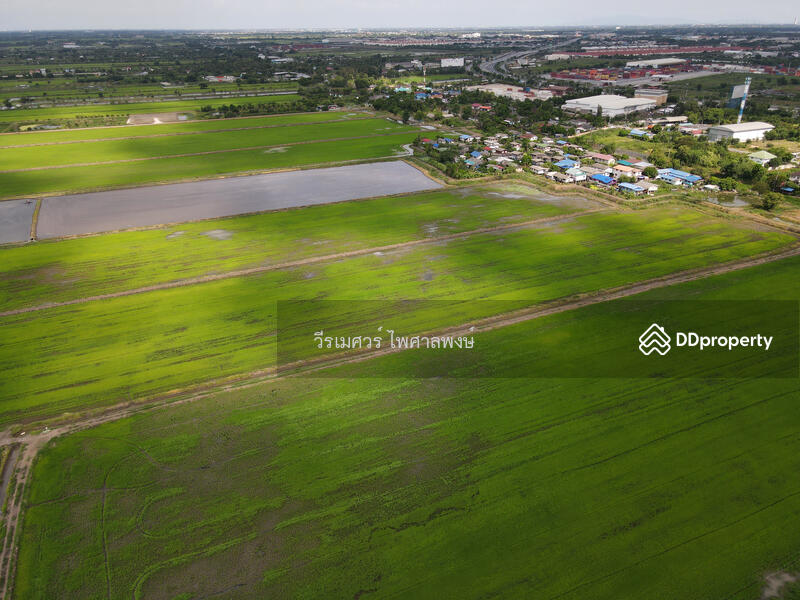ขายถูก! ที่ดินลาดกระบัง ใกล้สุวรรณภูมิ Airport 8 Km.—ติดถนนกว้าง 6 เลน เนื้อที่ 544-2-98.4 ไร่ 