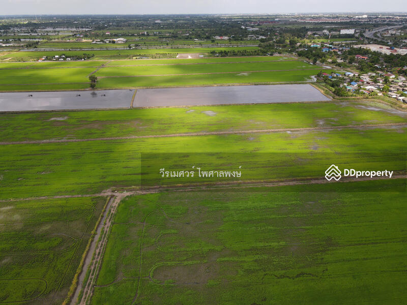 ขายถูก! ที่ดินลาดกระบัง ใกล้สุวรรณภูมิ Airport 8 Km.—ติดถนนกว้าง 6 เลน เนื้อที่ 544-2-98.4 ไร่