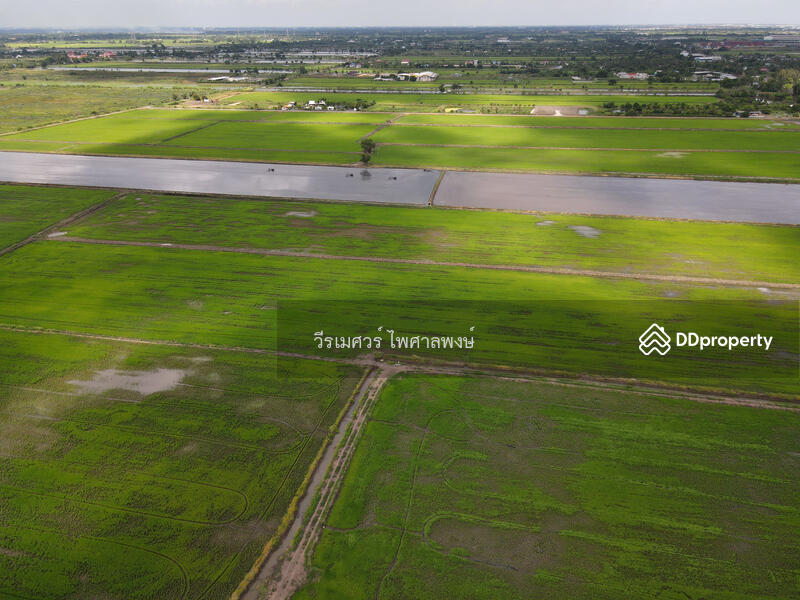 ขายถูก! ที่ดินลาดกระบัง ใกล้สุวรรณภูมิ Airport 8 Km.—ติดถนนกว้าง 6 เลน เนื้อที่ 544-2-98.4 ไร่ 