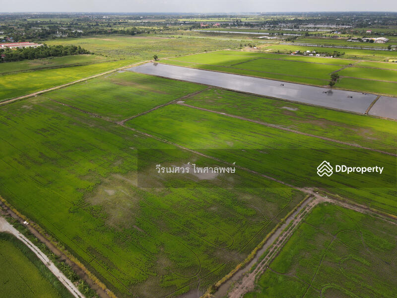ขายถูก! ที่ดินลาดกระบัง ใกล้สุวรรณภูมิ Airport 8 Km.—ติดถนนกว้าง 6 เลน เนื้อที่ 544-2-98.4 ไร่ 