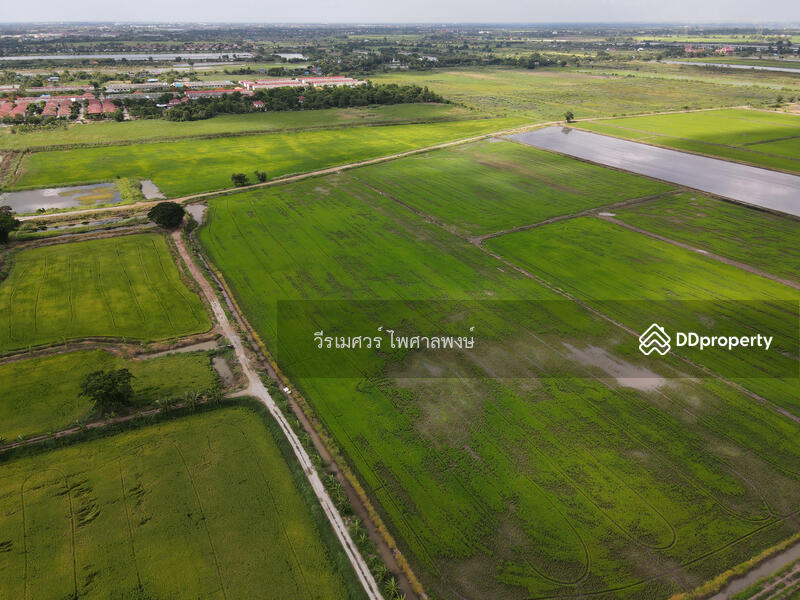 ขายถูก! ที่ดินลาดกระบัง ใกล้สุวรรณภูมิ Airport 8 Km.—ติดถนนกว้าง 6 เลน เนื้อที่ 544-2-98.4 ไร่