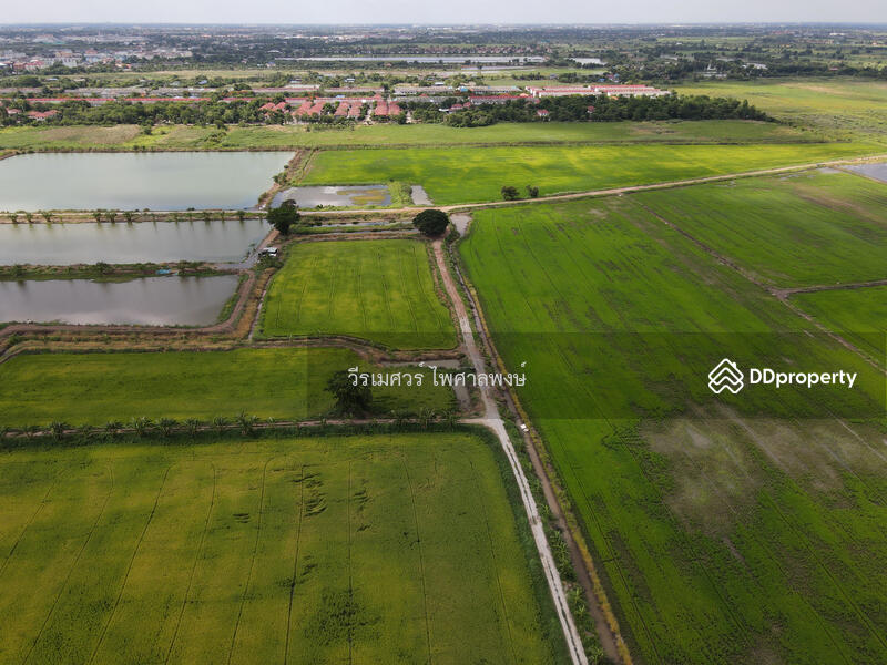 ขายถูก! ที่ดินลาดกระบัง ใกล้สุวรรณภูมิ Airport 8 Km.—ติดถนนกว้าง 6 เลน เนื้อที่ 544-2-98.4 ไร่