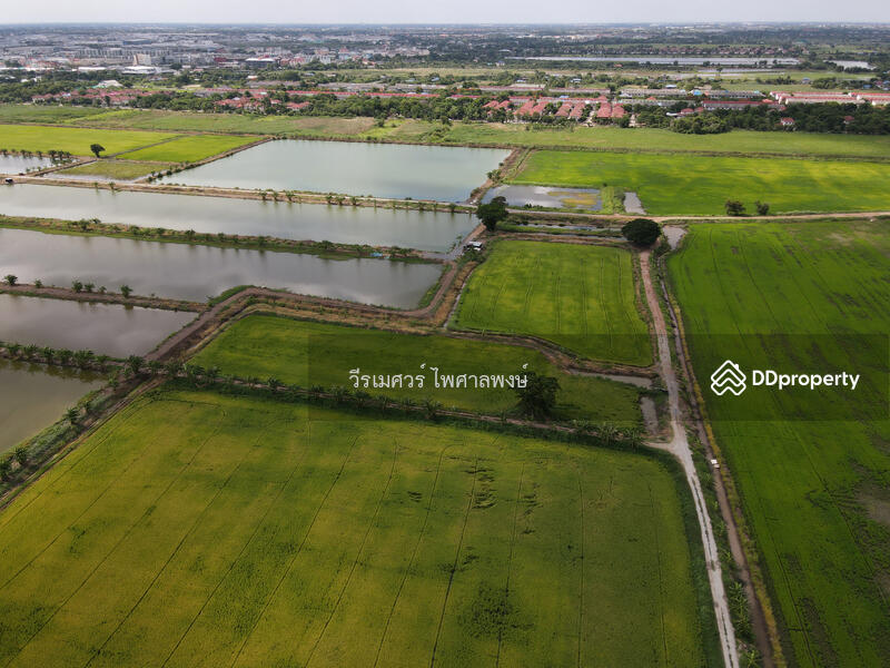 ขายถูก! ที่ดินลาดกระบัง ใกล้สุวรรณภูมิ Airport 8 Km.—ติดถนนกว้าง 6 เลน เนื้อที่ 544-2-98.4 ไร่