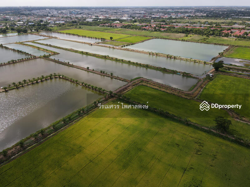 ขายถูก! ที่ดินลาดกระบัง ใกล้สุวรรณภูมิ Airport 8 Km.—ติดถนนกว้าง 6 เลน เนื้อที่ 544-2-98.4 ไร่