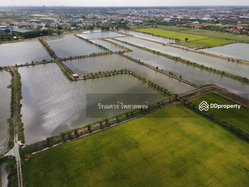ขายถูก! ที่ดินลาดกระบัง ใกล้สุวรรณภูมิ Airport 8 Km.—ติดถนนกว้าง 6 เลน เนื้อที่ 544-2-98.4 ไร่ 