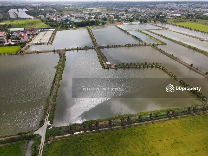 ขายถูก! ที่ดินลาดกระบัง ใกล้สุวรรณภูมิ Airport 8 Km.—ติดถนนกว้าง 6 เลน เนื้อที่ 544-2-98.4 ไร่