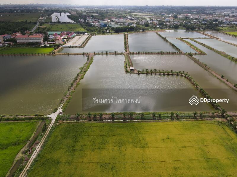 ขายถูก! ที่ดินลาดกระบัง ใกล้สุวรรณภูมิ Airport 8 Km.—ติดถนนกว้าง 6 เลน เนื้อที่ 544-2-98.4 ไร่ 