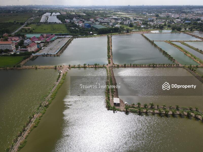 ขายถูก! ที่ดินลาดกระบัง ใกล้สุวรรณภูมิ Airport 8 Km.—ติดถนนกว้าง 6 เลน เนื้อที่ 544-2-98.4 ไร่