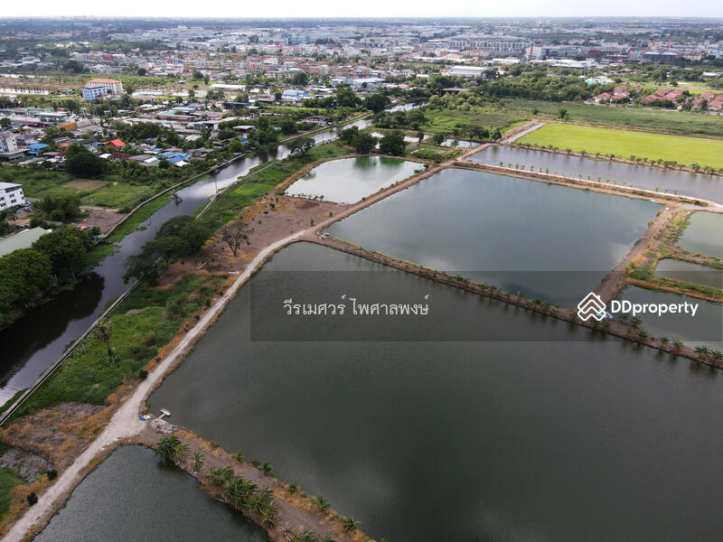 ขายถูก! ที่ดินลาดกระบัง ใกล้สุวรรณภูมิ Airport 8 Km.—ติดถนนกว้าง 6 เลน เนื้อที่ 544-2-98.4 ไร่