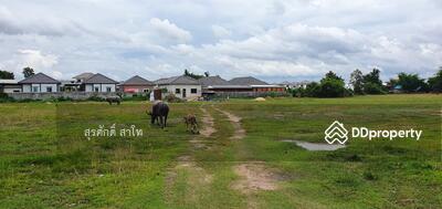 ขาย - ที่ดินติดถนนบ้านปลาดุก ต.ไร่น้อย อ.เมือง จ.อุบล ใก้ลตลาดสันติสุข 18-3-95 ไร่ ขายด่วนไร่ละ 2.5ล้านบาท, อุบลราชธานี