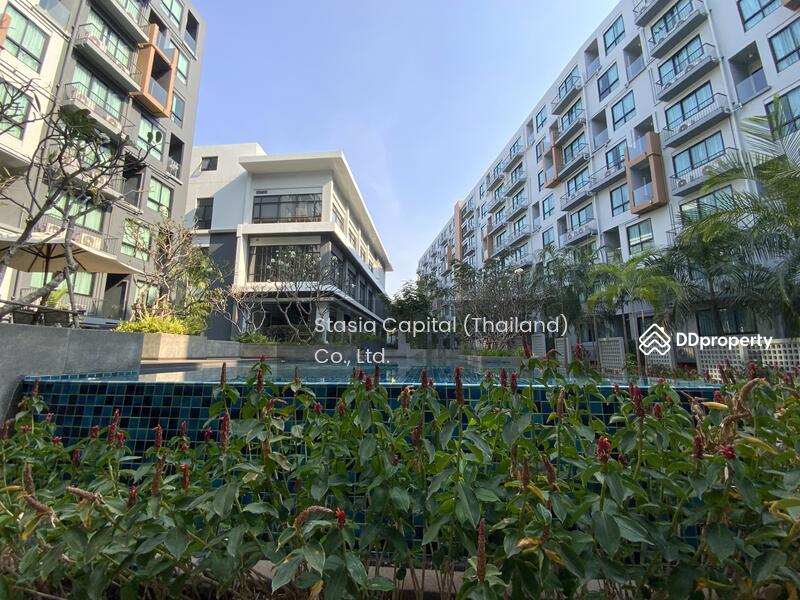 ดอร์มี่ เรสซิเดนท์ ศรีราชา, Chon Buri (Pattaya), Surasak, Si Racha, Chon Buri (Pattaya), 1 Bedroom, 39 sqm, Condo For Rent, by Takao Watanabe, 8919483 - DDproperty.com