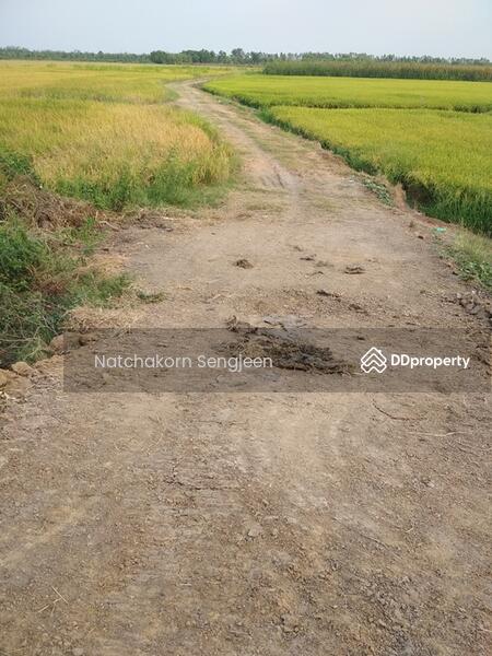 For Sale - ต.ช่างเหล็ก, Phra Nakhon Si Ayutthaya