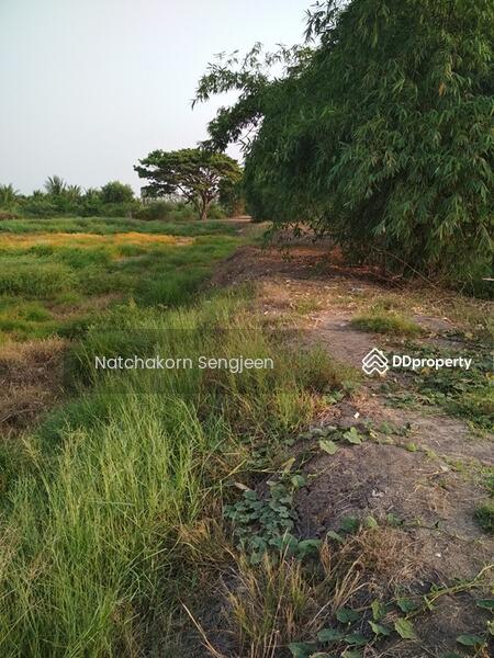 For Sale - ต.ช่างเหล็ก, Phra Nakhon Si Ayutthaya