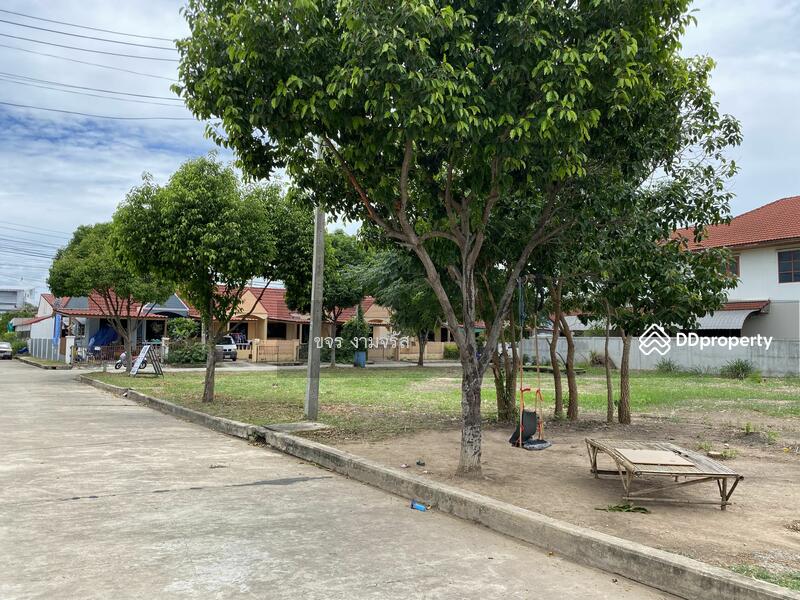 ที่ดินวิวนา สวย เขียวขจี โครงการกรีนวิว อ.สีคิ้ว, Nakhon Ratchasima, ชุมค้า, Si Khiu, Sikhiu, Nakhon Ratchasima, , 116 sqm, Land For Sale, by ขจร งามจรัส, 8934470 - แปลง 2 เนื้อที่ 116 ตรว. ติดถนนด้านหน้า - DDproperty.com