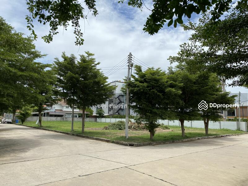 ที่ดินวิวนา สวย เขียวขจี โครงการกรีนวิว อ.สีคิ้ว, นครราชสีมา, ชุมค้า, สีคิ้ว, สีคิ้ว, นครราชสีมา, 116 ตร.ม., ที่ดิน ขาย, โดย ขจร งามจรัส, 8934470 - แปลง 1 ซ้ายมือสุด, แปลง 2 ตรงกลาง, แปลง 3 ขวามือสุด ติดถนนสองด้าน - DDproperty.com