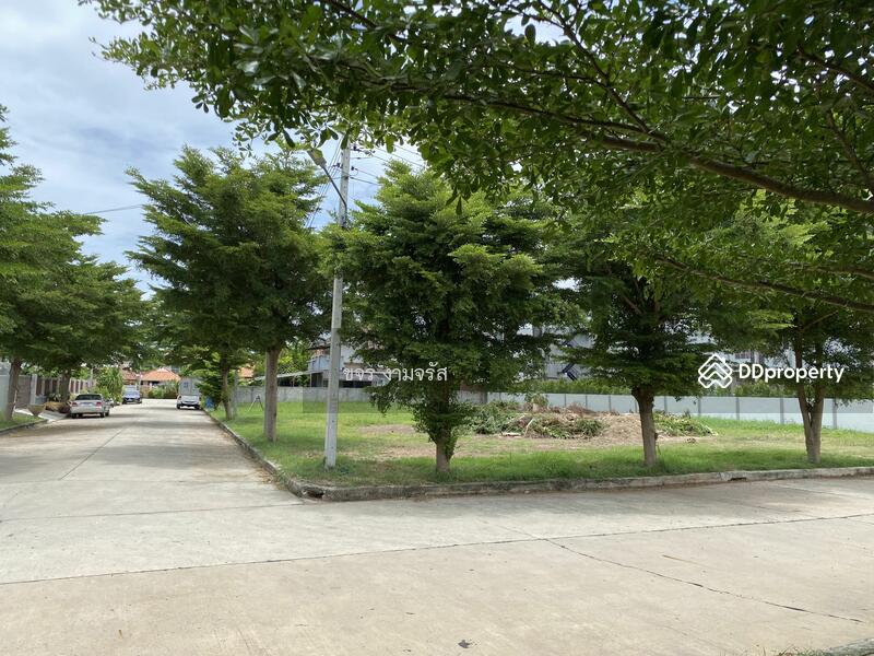 ที่ดินวิวนา สวย เขียวขจี โครงการกรีนวิว อ.สีคิ้ว, Nakhon Ratchasima, ชุมค้า, Si Khiu, Sikhiu, Nakhon Ratchasima, , 116 sqm, Land For Sale, by ขจร งามจรัส, 8934470 - ถนนในโครงการกว้าง 8 เมตร - DDproperty.com