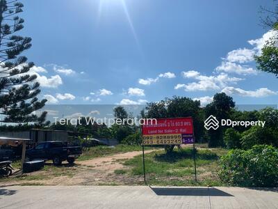 ขาย - ที่ 2 ไร่ ซอยวัดหนองค้อ 24, ชลบุรี