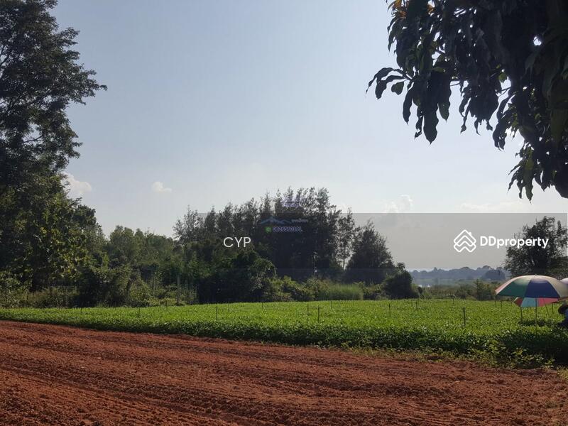 ขาย - ขายที่ดินแปลงสวยอุดรธานี, อุดรธานี