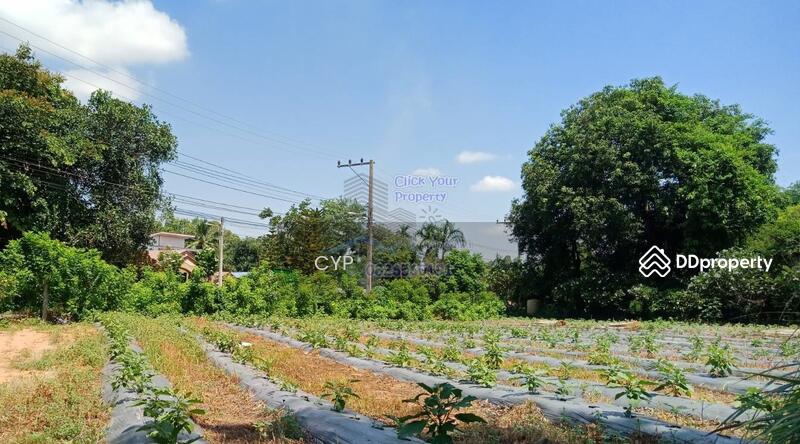 For Sale - ขายที่ดินแปลงสวยอุดรธานี, Udon Thani