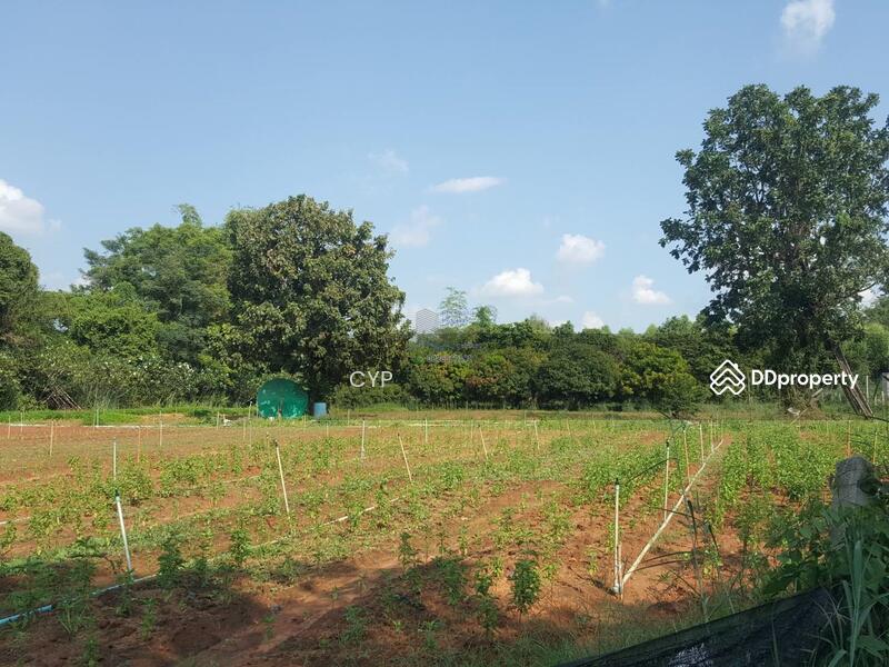 For Sale - ขายที่ดินแปลงสวยอุดรธานี, Udon Thani