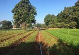 CYP047 ขายที่ดินสวยเมืองอุดร - DDproperty.com
