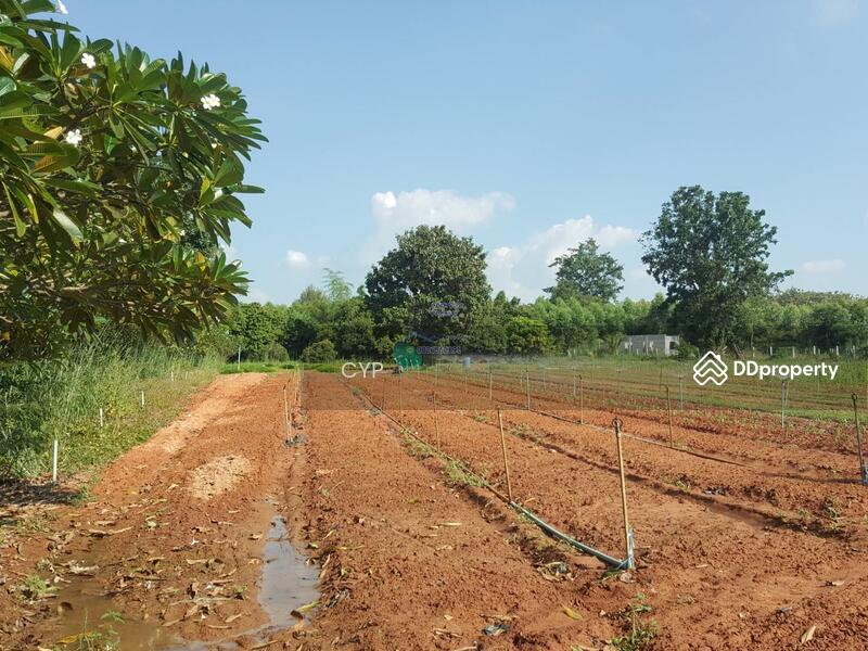 For Sale - ขายที่ดินแปลงสวยอุดรธานี, Udon Thani