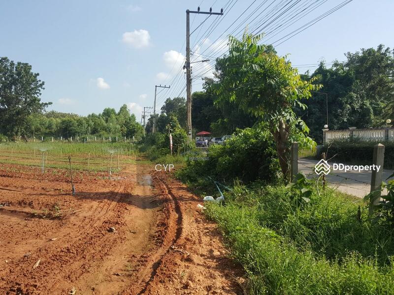 For Sale - ขายที่ดินแปลงสวยอุดรธานี, Udon Thani