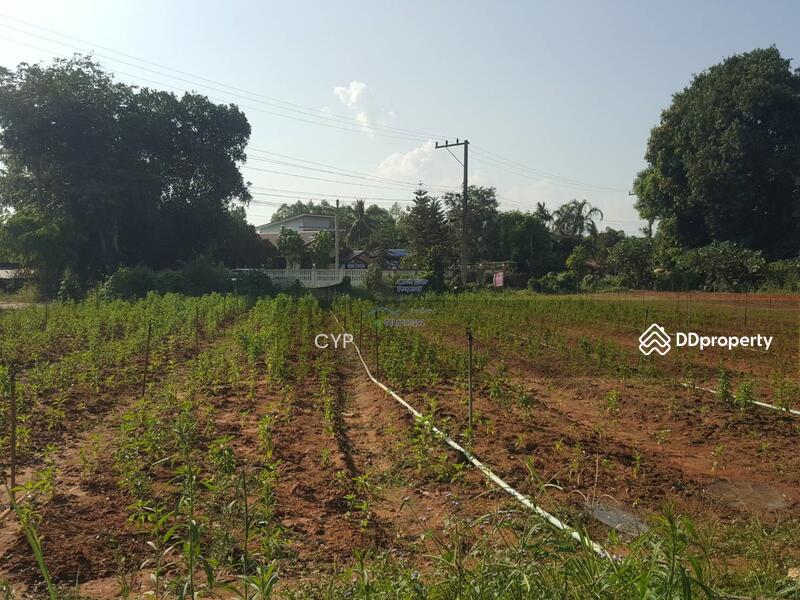 For Sale - ขายที่ดินแปลงสวยอุดรธานี, Udon Thani