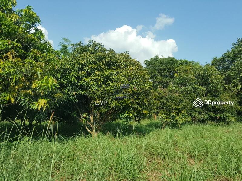 For Sale - ขายที่ดินแปลงสวยอุดรธานี, Udon Thani