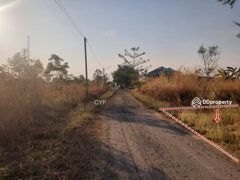 ขาย - ขายที่ดินจัดสรรสวย 1งาน 3แสนบาท ลพบุรี, ลพบุรี