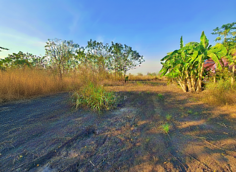 For Sale - Land for SALE in Lopburi, Lop Buri