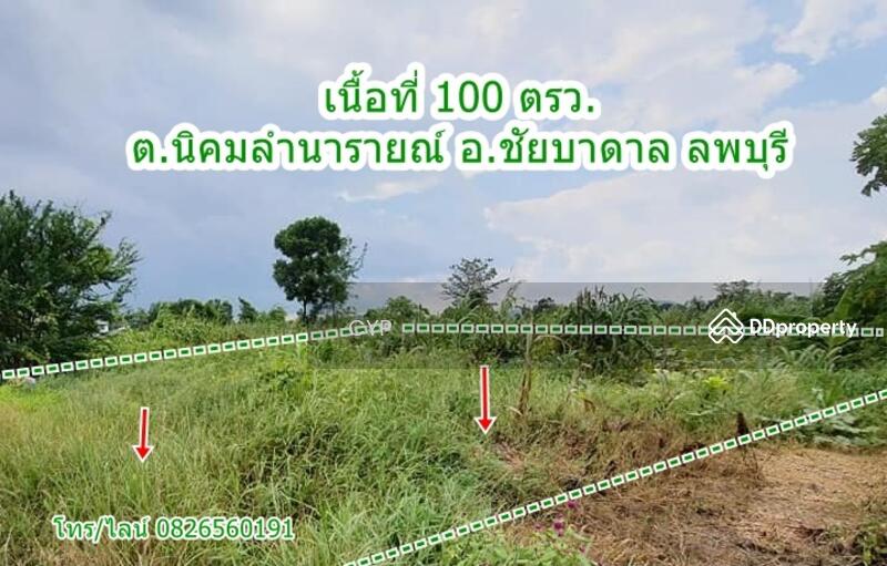 ขาย - ขายที่ดินจัดสรรสวย 1งาน 3แสนบาท ลพบุรี, ลพบุรี