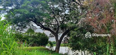 ขาย - ที่ดินแถวบ้านใหม่ จ.อยุธยา 2-3-28 ไร่ ด้านหลังที่ดินติดแมน้ำเจ้าพระยาฝั่งตรงข้ามกับเรือนร้อยปีโบราณ, พระนครศรีอยุธยา