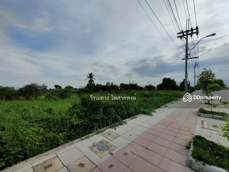 ขายถูก! ที่ดิน ติดถนนกรุงเทพกรีฑา-ตัดใหม่ (เหมาะวางผังทำ Home Office +Townhome +แนวราบ)