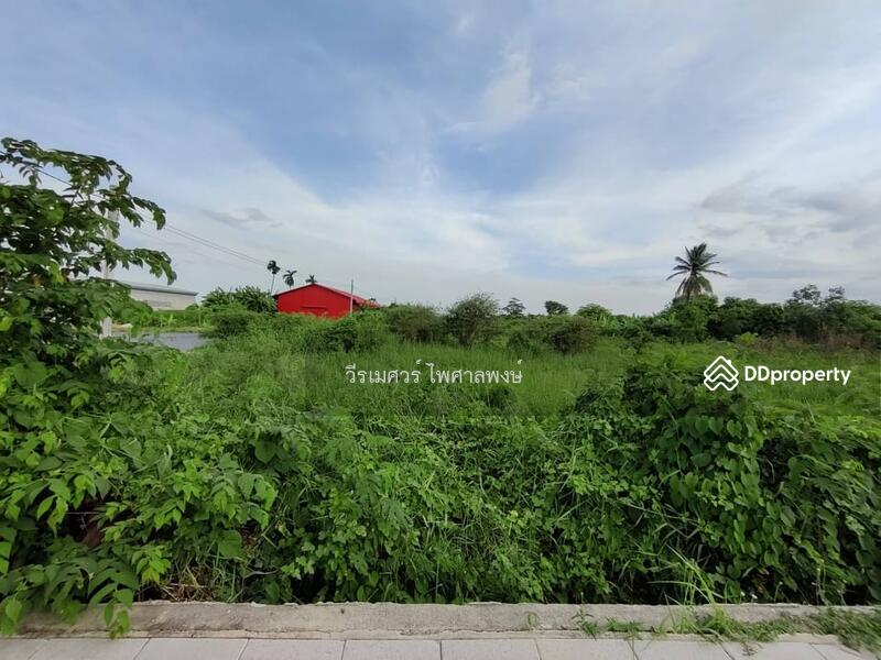 ขายถูก! ที่ดิน ติดถนนกรุงเทพกรีฑา-ตัดใหม่ (เหมาะวางผังทำ Home Office +Townhome +แนวราบ)