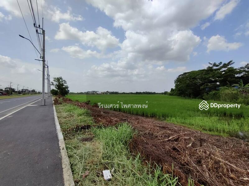 ขายถูกมาก! ที่ดิน ติดถนนคุ้มเกล้า—กว้าง 4 เลน (เหมาะทำหมู่บ้าน จัดสรร) เนื้อที่ 9-2-45 ไร่ 