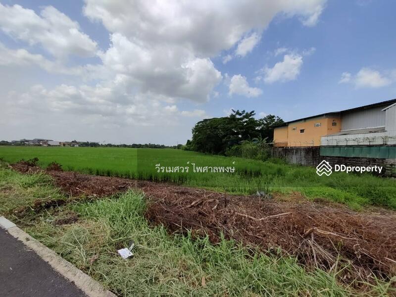 ขายถูกมาก! ที่ดิน ติดถนนคุ้มเกล้า—กว้าง 4 เลน (เหมาะทำหมู่บ้าน จัดสรร) เนื้อที่ 9-2-45 ไร่ 