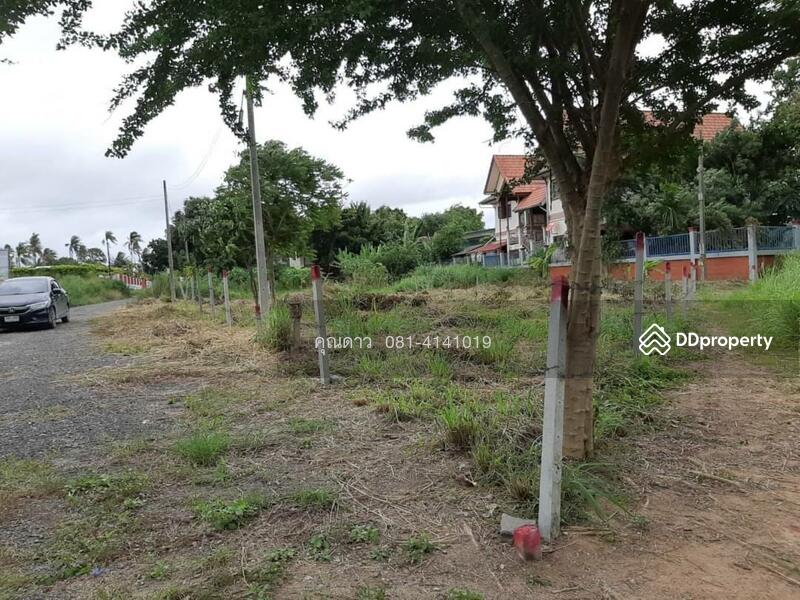 ถนนซอยมาบหว้า - ตะเคียนเตี้ย, Chon Buri (Pattaya), ถนนซอยมาบหว้า, Ta Khian Tia, Bang Lamung (Pattaya), Chon Buri (Pattaya), , 480 sqm, Land For Sale, by Nichapa Phiachan, 9071900 - DDproperty.com