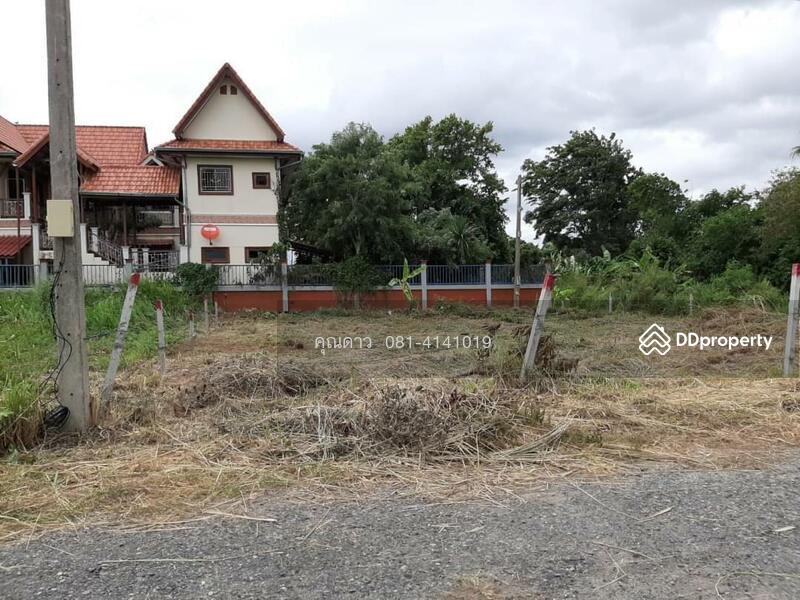 ถนนซอยมาบหว้า - ตะเคียนเตี้ย, Chon Buri (Pattaya), ถนนซอยมาบหว้า, Ta Khian Tia, Bang Lamung (Pattaya), Chon Buri (Pattaya), , 480 sqm, Land For Sale, by Nichapa Phiachan, 9071900 - DDproperty.com