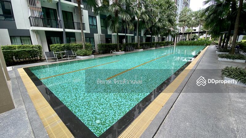 iCondo Sukhumvit 105, Bangkok, 20 Soi Lasalle 19,  Sukhumvit 105 Road, Bang Na, Bangkok, 1 Bedroom, 33 sqm, Condo For Sale, by ธัชเวท จิระติวานนท์, 9085626 - DDproperty.com