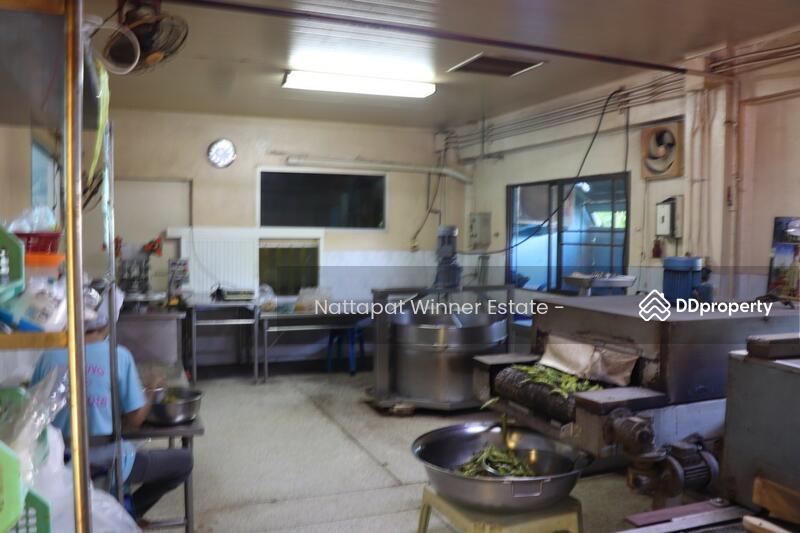 ที่ดิน 200 ตารางวา พร้อมโรงงาน 3 ชั้น อ่อนนุช 65 สภาพดี มีใบอนุญาตผลิตอาหาร รง.2, กรุงเทพ, ประเวศ, ประเวศ, กรุงเทพ, 320 ตร.ม., โกดัง-โรงงาน ขาย, โดย ณัฐพัชร์ โชติอัครสินทบ, 9087305 - DDproperty.com