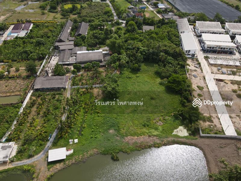 ขายถูก! ที่ดินหลัง ม.ราชภัฏนครปฐม อ.เมืองนครปฐม (เหมาะสร้างบ้านจัดสรร) เนื้อที่ 7-2-80.5 ไร่