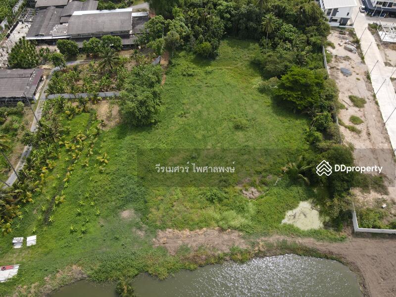 ขายถูก! ที่ดินหลัง ม.ราชภัฏนครปฐม อ.เมืองนครปฐม (เหมาะสร้างบ้านจัดสรร) เนื้อที่ 7-2-80.5 ไร่