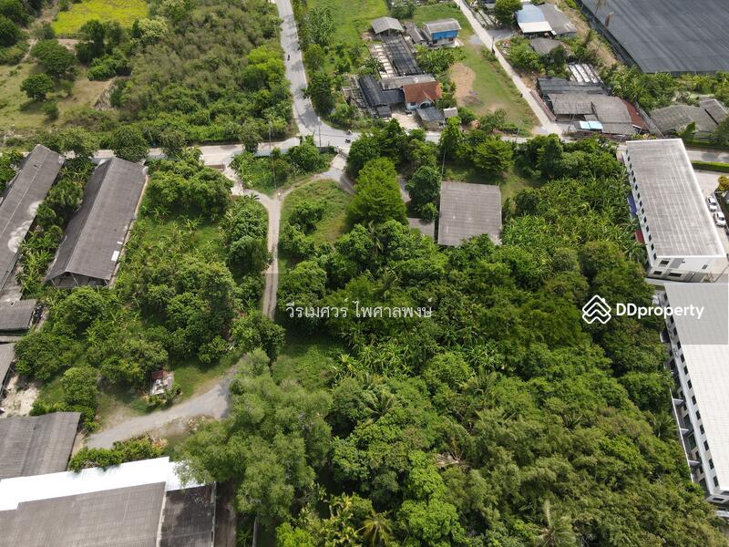 ขายถูก! ที่ดินหลัง ม.ราชภัฏนครปฐม อ.เมืองนครปฐม (เหมาะสร้างบ้านจัดสรร) เนื้อที่ 7-2-80.5 ไร่