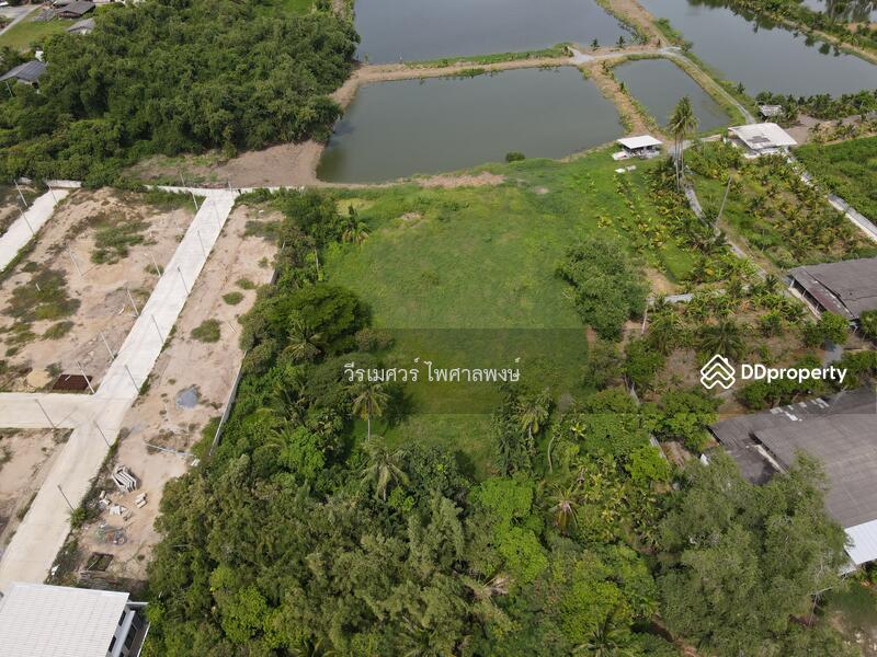 ขายถูก! ที่ดินหลัง ม.ราชภัฏนครปฐม อ.เมืองนครปฐม (เหมาะสร้างบ้านจัดสรร) เนื้อที่ 7-2-80.5 ไร่