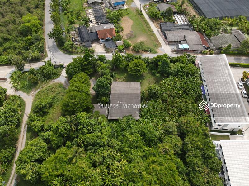 ขายถูก! ที่ดินหลัง ม.ราชภัฏนครปฐม อ.เมืองนครปฐม (เหมาะสร้างบ้านจัดสรร) เนื้อที่ 7-2-80.5 ไร่